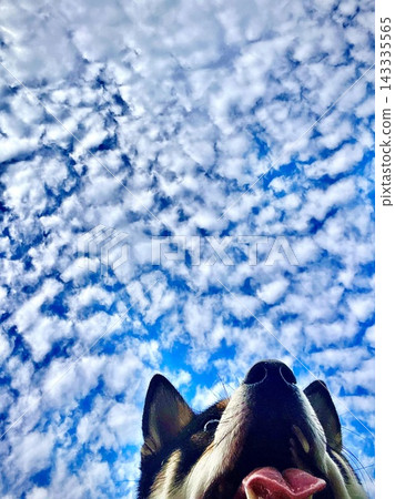 It's a blue sky! It's a blue sky! 143335565
