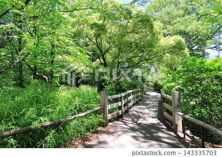 東京江東區 Sarue Onshi 公園的風景 東京江東區 Sarue Onshi 公園的風景 143335703