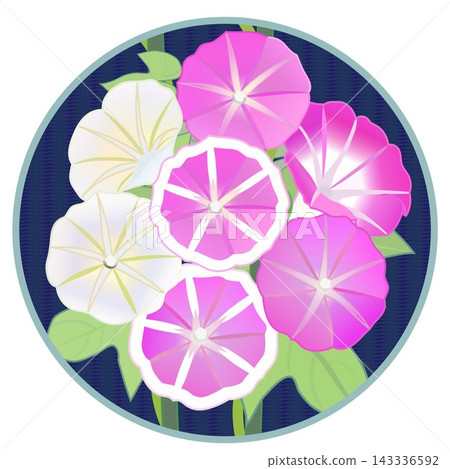 Morning glory illustration with a circular background Morning glory illustration with a circular background 143336592