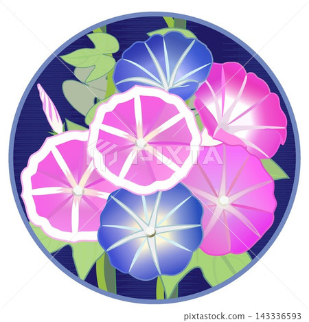 圓形背景的牽牛花插圖 圓形背景的牽牛花插圖 143336593