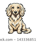 Adorable Cream Long Haired Dachshund Dog Illustration.  143336851