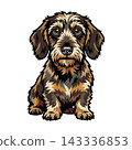 Cute Wirehaired Dachshund Dog Illustration.  143336853