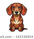 Friendly Brown Dachshund Puppy Sitting Graphic.  143336854