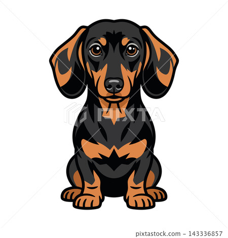 Cute Black and Tan Dachshund Dog Illustration. Cute Black and Tan Dachshund Dog Illustration. 143336857