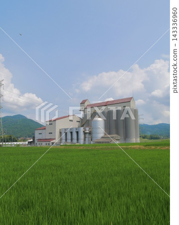 夏季農村風光 夏季農村風光 143336960