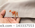 Sauce spilled on beige pants or shirt. Concept of dirty clothes 143337553