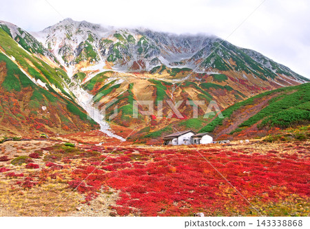 立山室堂雷鳥澤露營地的秋葉 143338868
