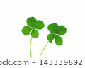 four Leaf Clover  143339892