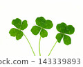 four Leaf Clover  143339893