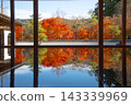 Hotokuji Autumn floor maple 143339969