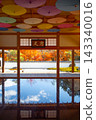 Hotokuji Autumn floor maple 143340016