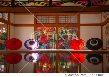 報德寺秋地楓 報德寺秋地楓 143340038