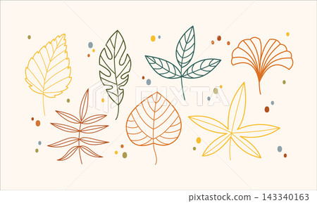 Autumn leaves line art vector elements set with ginkgo birch and forest outline foliage isolated on background for minimalist fall design Autumn leaves line art vector elements set with ginkgo birch and forest outline foliage isolated on background for minimalist fall design 143340163