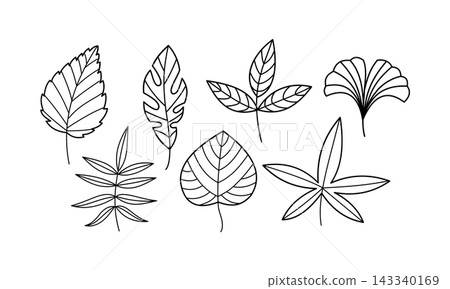 Autumn leaves line art vector illustration set minimalist black and white fall foliage graphic elements for logo branding design Autumn leaves line art vector illustration set minimalist black and white fall foliage graphic elements for logo branding design 143340169