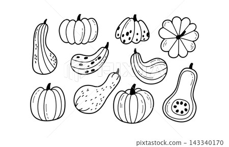Autumn pumpkin and squash line art vector illustration set minimalist black and white thanksgiving harvest clipart elements for logo design Autumn pumpkin and squash line art vector illustration set minimalist black and white thanksgiving harvest clipart elements for logo design 143340170