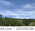 鬱鬱蔥蔥的森林景色，藍天白雲。 143340186