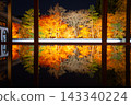 Hotokuji Autumn floor maple 143340224