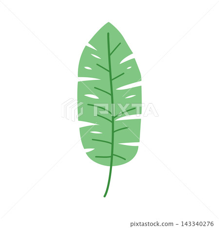 Banana leaf vector flat tropical botanical element isolated design graphic Banana leaf vector flat tropical botanical element isolated design graphic 143340276