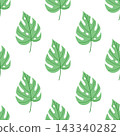 Monstera leaf seamless pattern vector flat botanical background summer textile print 143340282