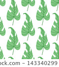 Green monstera leaf seamless pattern, minimalist tropical botanical background for textile, wallpaper, nursery decor and organic packaging 143340299