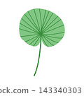 Single green fan palm leaf isolated on white background, minimalist botanical foliage element for logo design and summer branding stationary 143340303