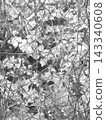A black and white kaleidoscope, a beautiful geometric pattern of wire mesh and ivy 143340608