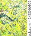 A pale green kaleidoscope, a beautiful geometric pattern of wire mesh and ivy 143340609
