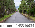 A beautiful autumn rain scene at Sogenji Temple in Okayama City, Okayama Prefecture, Japan. 143340634