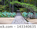 A beautiful autumn rain scene at Sogenji Temple in Okayama City, Okayama Prefecture, Japan. 143340635
