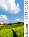 靜岡縣：日本最壯觀的景色－春日藍天、富士山和茶園。 143341146
