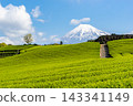 靜岡縣：日本最壯觀的景色－春日藍天、富士山和茶園。 143341149