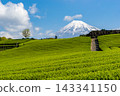 靜岡縣：日本最壯觀的景色－春日藍天、富士山和茶園。 143341150