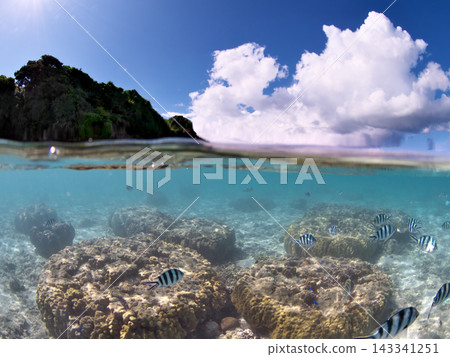 Half-water scenery of Anchi Beach, Sesoko Island, Okinawa Prefecture Half-water scenery of Anchi Beach, Sesoko Island, Okinawa Prefecture 143341251