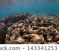 陽光灑在沖繩縣瀨底島安知海灘的水下景色 143341253