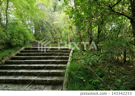 Stone stairs surrounded by greenery Stone stairs surrounded by greenery 143342253