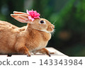 A brown rabbit with a pink flower in its ear stands on a bench. 143343984