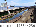 Kobe, Kobe Port Earthquake Memorial Park (viewed from the north, Meriken Park) (late summer) 143344230