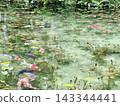 Carp and water lilies swimming in Monet's pond 143344441