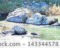 Rocky landscape 143344578