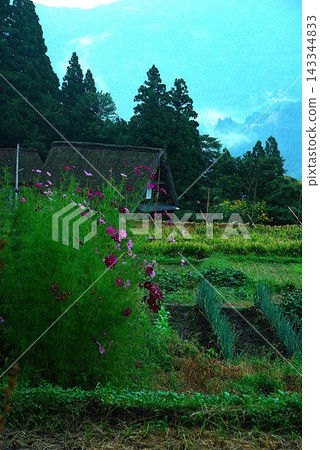 秋季,富山縣戶浪市相倉町會舉辦小切子祭,吸引大量民眾前來參加。 秋季,富山縣戶浪市相倉町會舉辦小切子祭,吸引大量民眾前來參加。 143344833