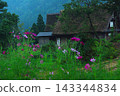 秋季，富山縣戶浪市相倉町會舉辦小切子祭，吸引大量民眾前來參加。 143344834