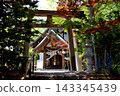 札幌市豐平區平岸天滿宮神社的鳥居與參拜殿 143345439