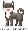 可愛的柴犬（黑色柴犬）插圖 143346473