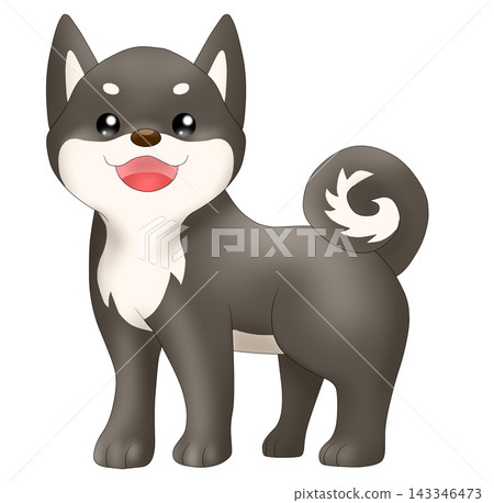 可愛的柴犬（黑色柴犬）插圖 143346473