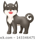 可愛的柴犬（黑色柴犬）插圖 143346475