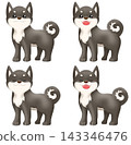 一組可愛的柴犬（黑柴犬）插圖 143346476