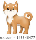 可愛的柴犬（紅柴犬）插圖 143346477