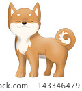 可愛的柴犬（紅柴犬）插圖 143346479