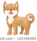 可愛的柴犬（紅柴犬）插圖 143346480