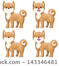 一組可愛的柴犬（紅色柴犬）插圖。 143346481